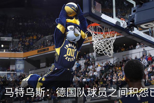 马特乌斯：德国队球员之间积怨已久 一些人的家人可以享受特权